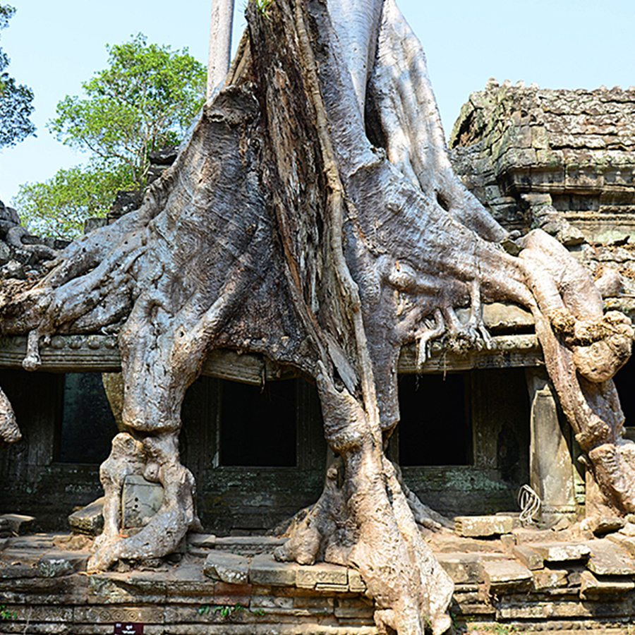 Cambodia